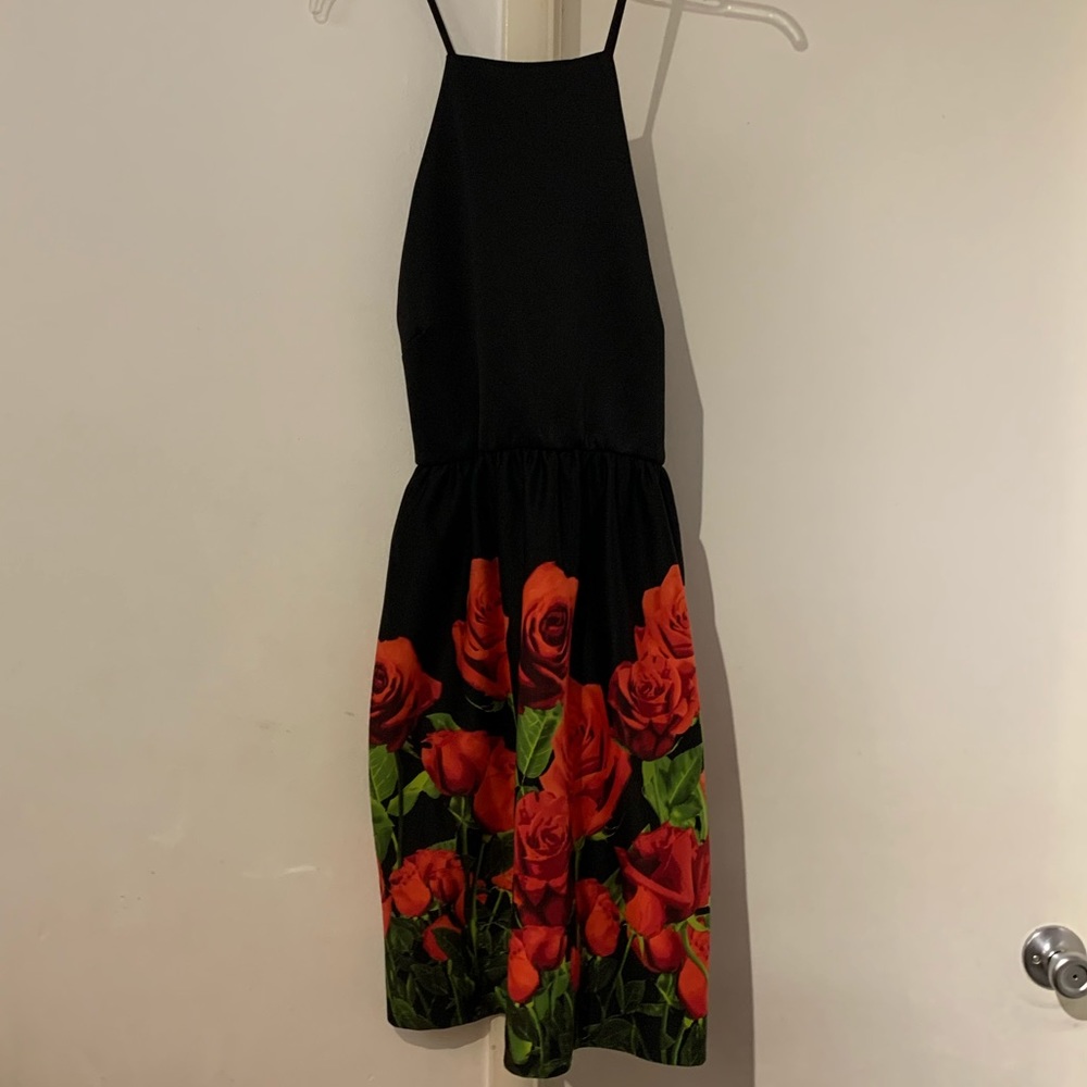 Plus 2X Rose Dress